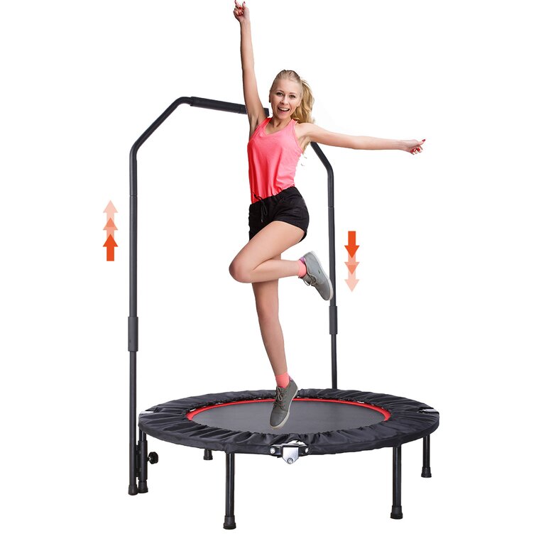 Wayfair outlet gym equipment